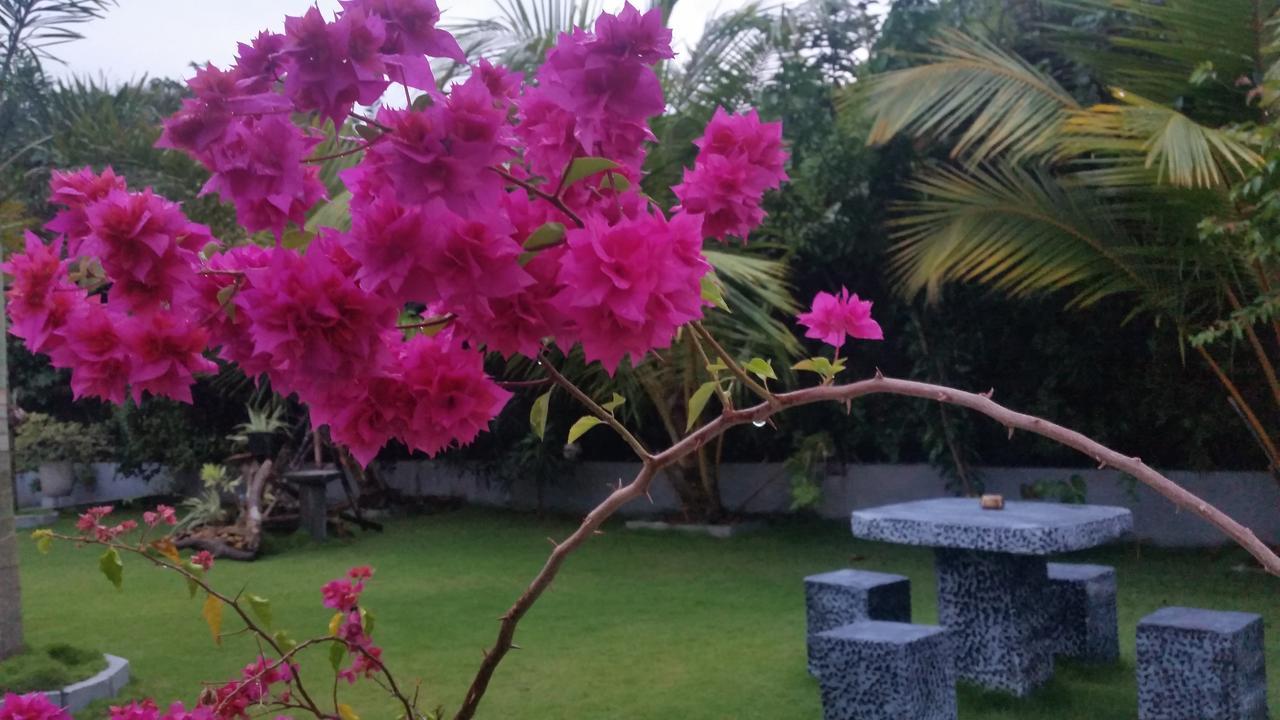 Dhammika Magic Palace Ваддува Экстерьер фото